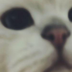 供词的练习