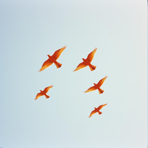 考えすぎなくていい 言葉の檻から 飛び出してみよう