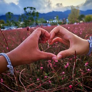 《与你踏遍山海间》