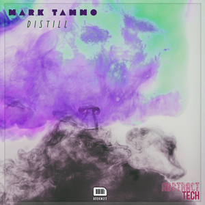 Enabler (Original Mix)