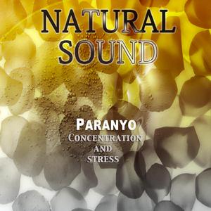 Natural Sound Concentration and Stress
