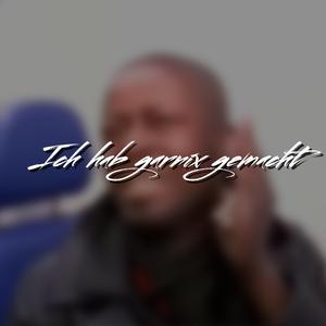 Ich hab garnichts gemacht (Remix) (Remix)