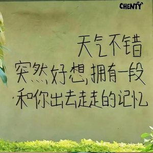 我与我的伤握手言和