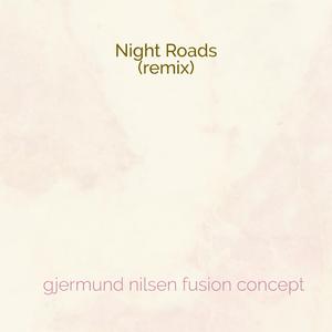 Night Roads (Remix)