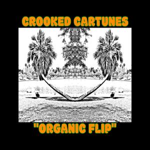 Organic Flip (Instrumental) (Instrumental)