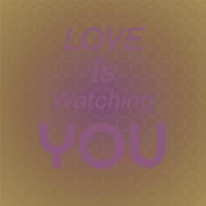 How Many Lovin' Lovins