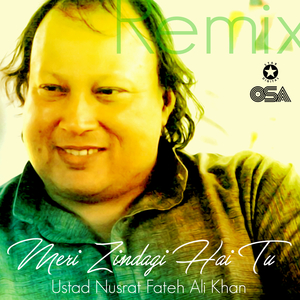 Meri Zindagi Hai Tu (Remix)