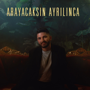 Arayacaksın Ayrılınca