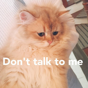 Wonderful U..（翻自 AGA）