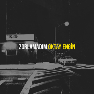 Zorlamadım