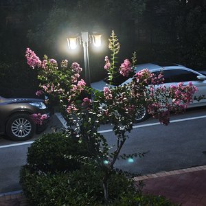 修改音质-mmexport1777129614535.mp3