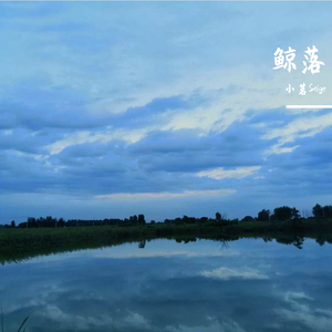 鲸落（prod by Darout）