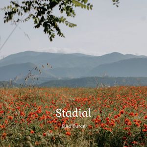 Stadial