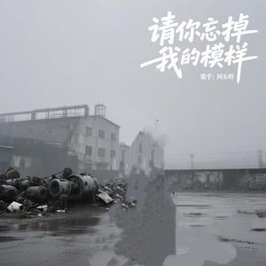 请你忘掉我的模样