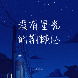 没有星光的荆棘丛