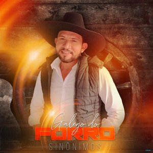 Sinônimos (feat. Lairton e Seus Teclados)