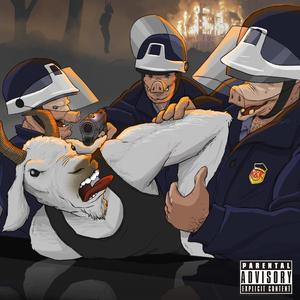 Clarity (feat. Ton)