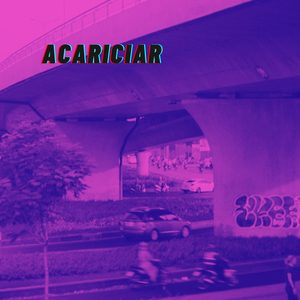 Acariciar
