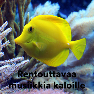 The Chilling Fish