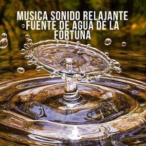 Musica sonido relajante fuente de agua de la fortuna, Pt. 12