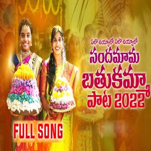 ELO UYALLO SANDHAMAMA BATHUKAMMA SONG