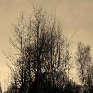 The Same Way You Came In