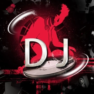 新风格 (DJ小黑版)