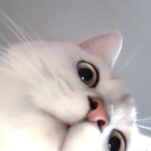 sencan-Ilkay Sencan - What You Want