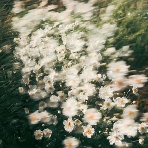 “Linx"Bobbynopeace X Sasioverlord X Pain beat