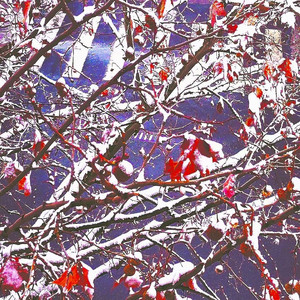 风，痛（Prod by DaveBeats）