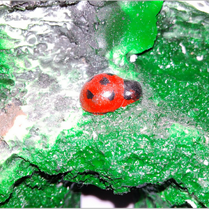 秋日私语（变奏曲）