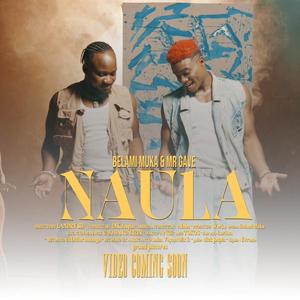 Naula (feat. Mr gave)