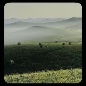 'Wilderness' x Jerk Type Beat