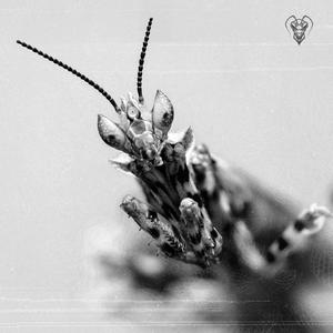 SILKSCREEN (feat. Polybit & emanuel)