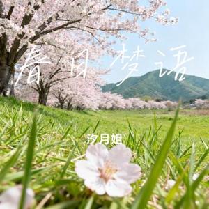 春日梦语
