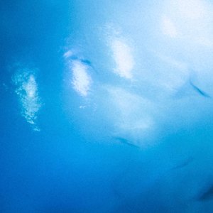 망가질 수 없게