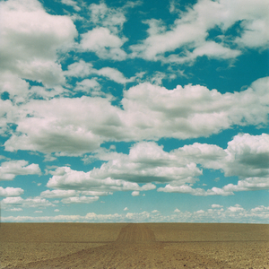 Yardwork In November