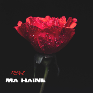 Ma haine