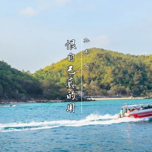 恨自己真的没用（伴奏）