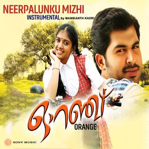 Neerpalunku Mizhi (Instrumental)