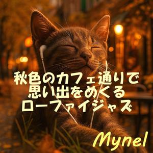 窓辺に沈む落ち葉の影