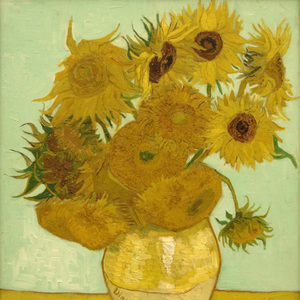 只遥远的星际之光