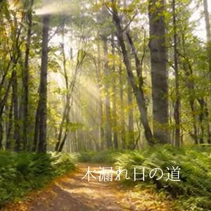 【ゆったりBGM】森編 木漏れ日の道 – Path of Sunlight（癒し・瞑想・リラックス・作業用BGM）