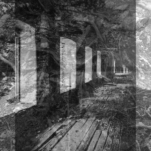 Reflektion