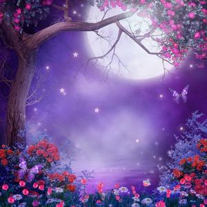 月夜（翻自 双笙）