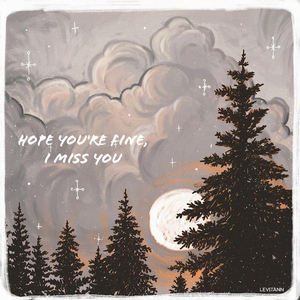 Hope You're Fine, I Miss You