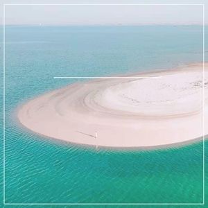 上岸