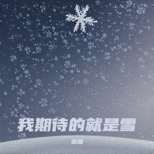 我期待的就是雪