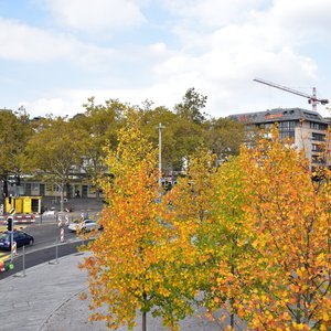 Zurich, October 14, 2015