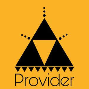 Provider
